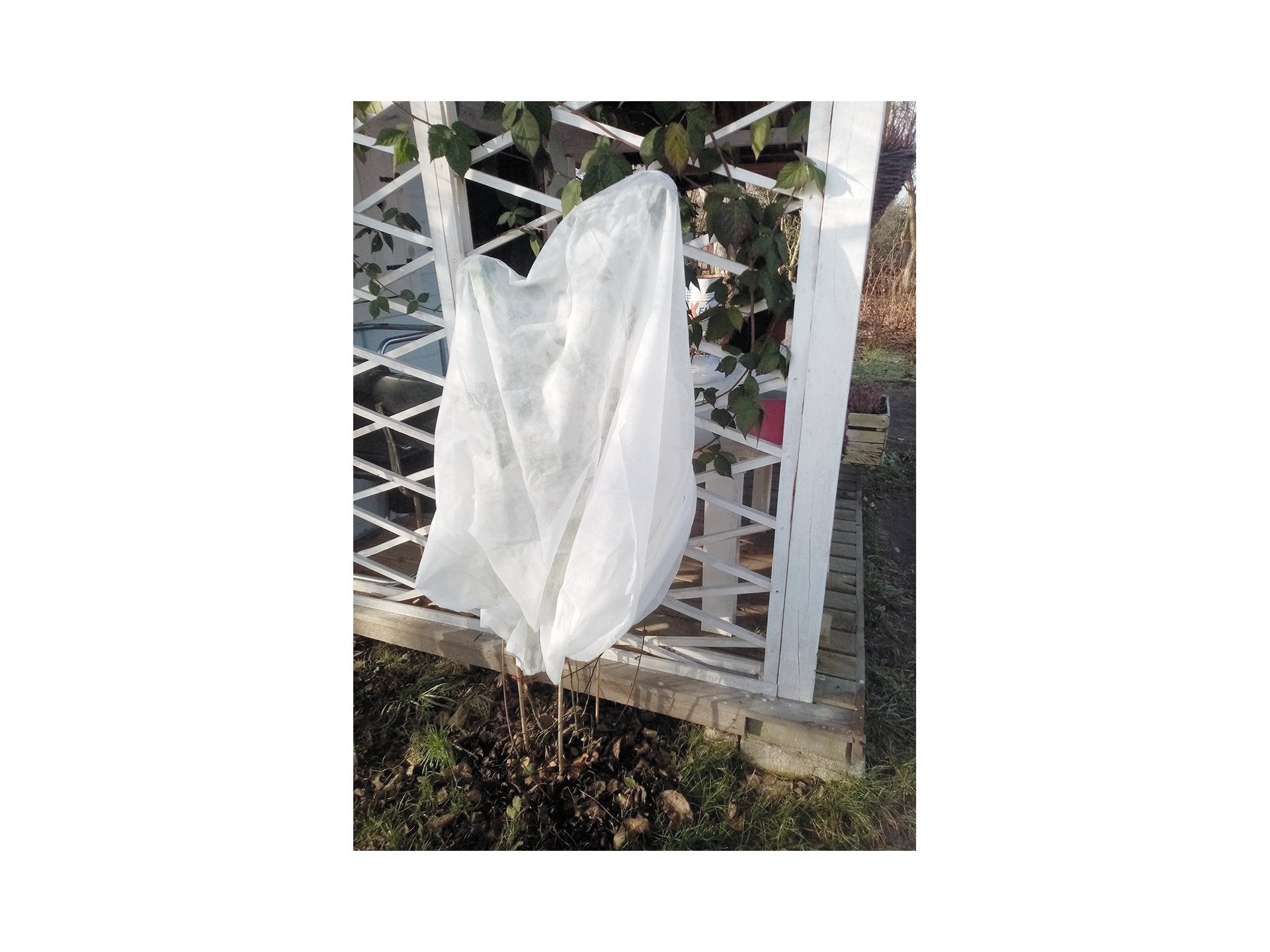 draft