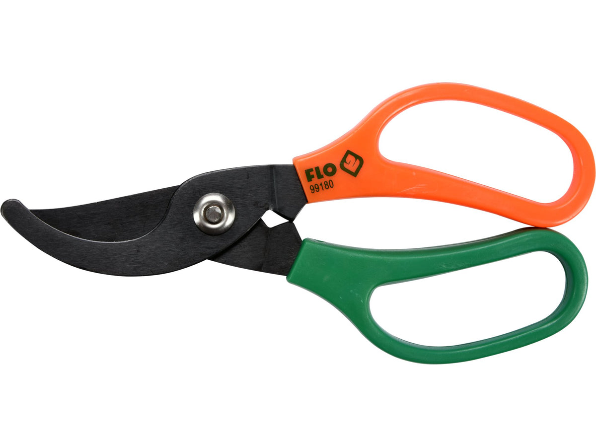 draft