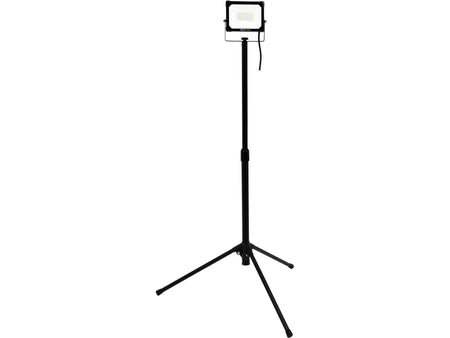 draft